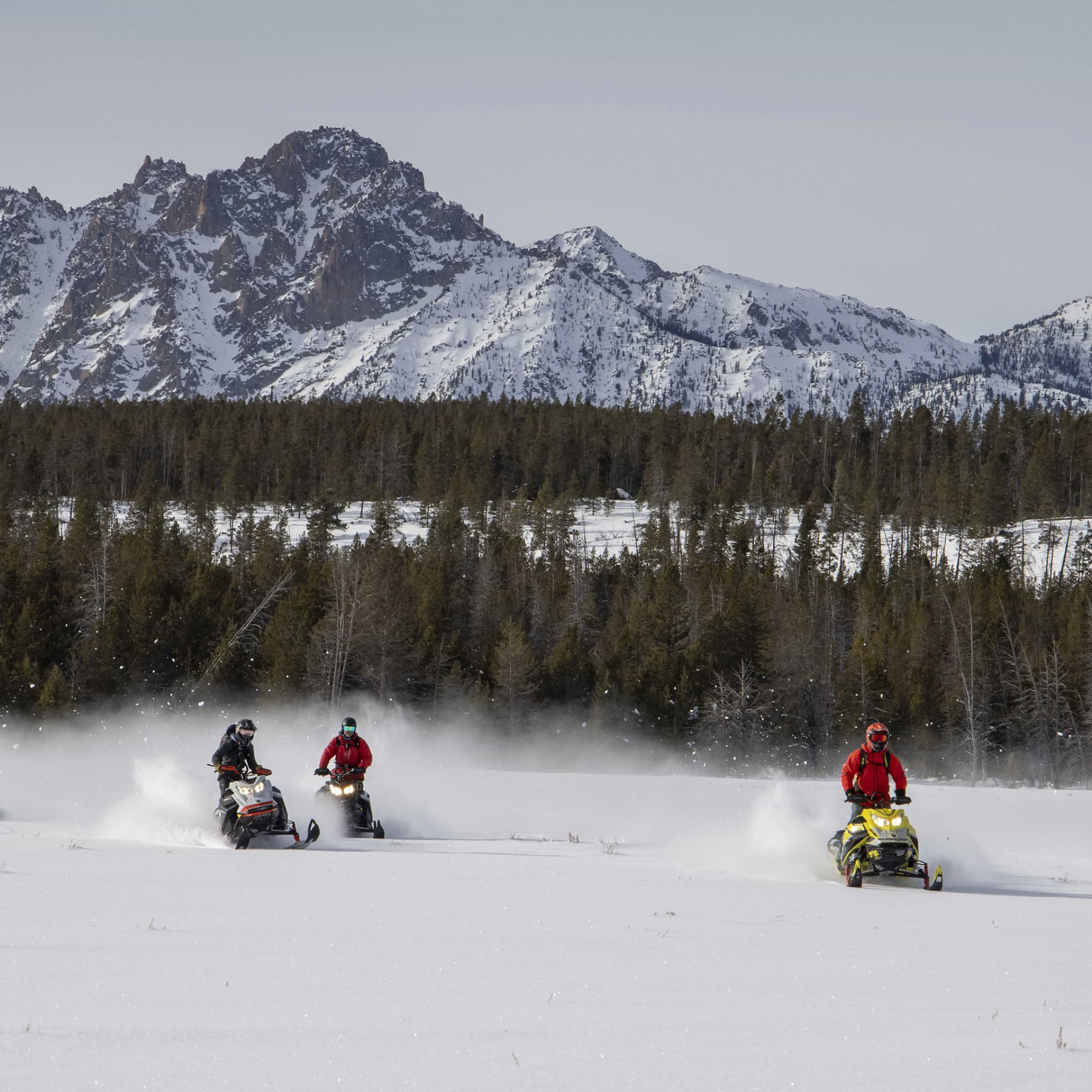 Snow Adventure